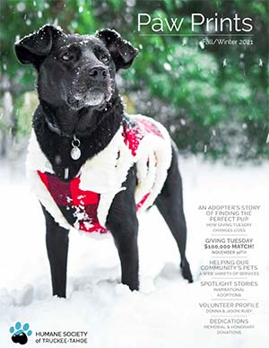 2021 Winter Paw Prints cover