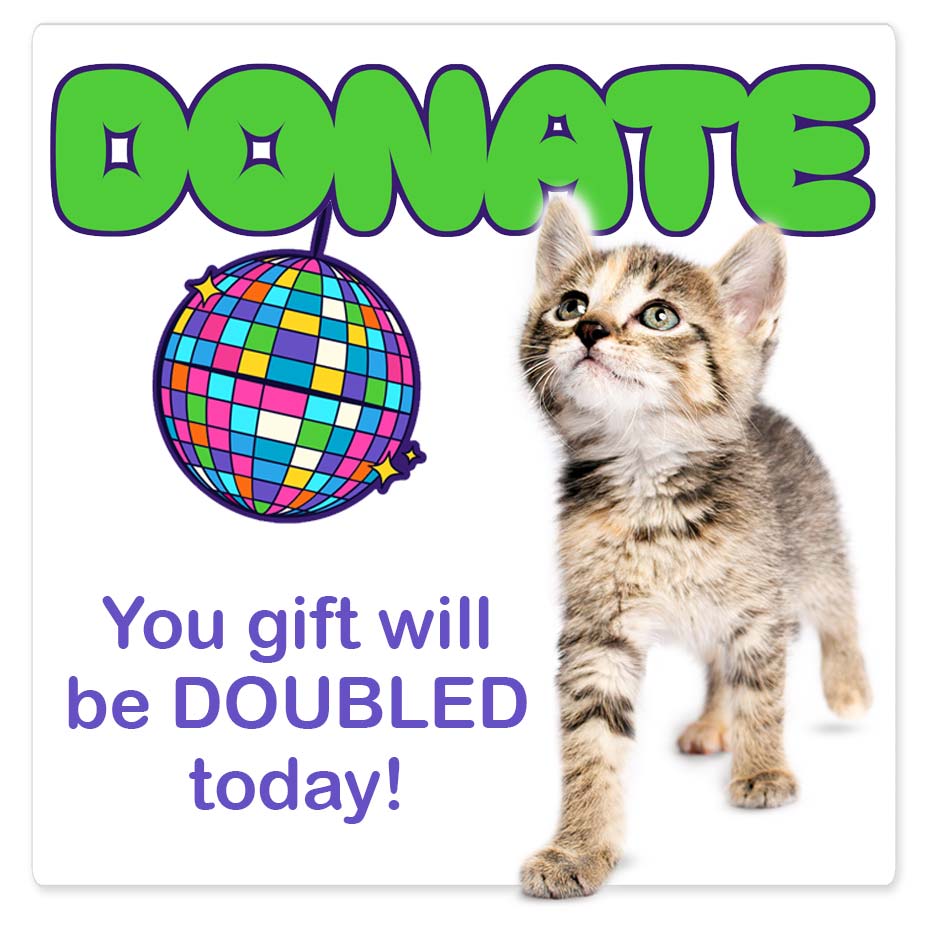 Donate: Your gift will be doubled today!