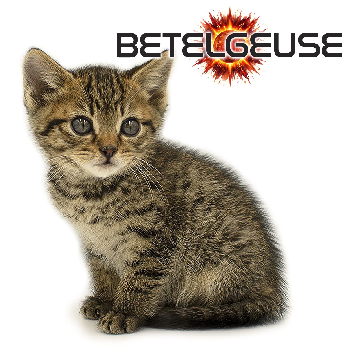 Betelgeuse