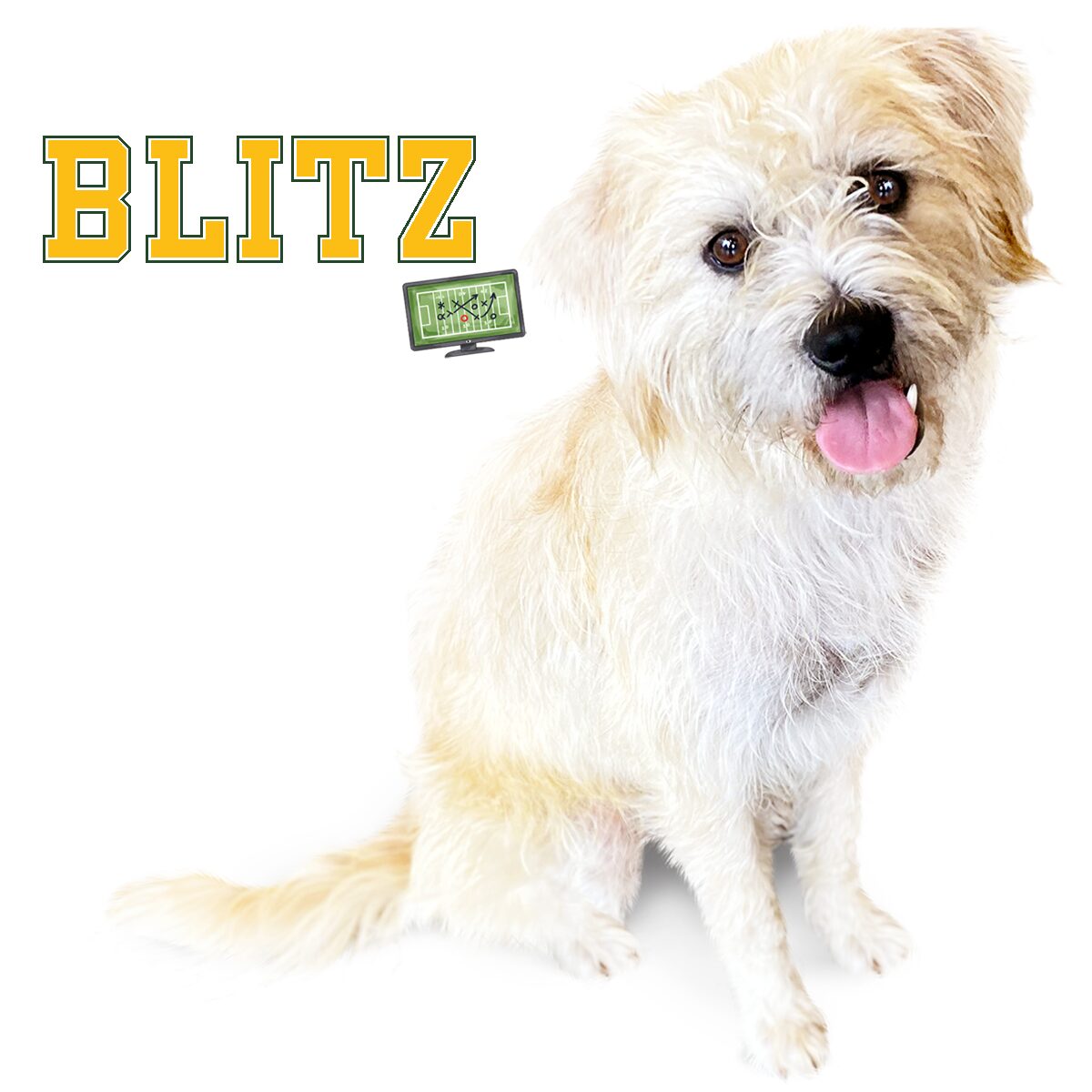 Blitz