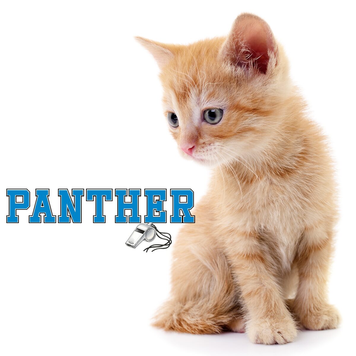 Panther