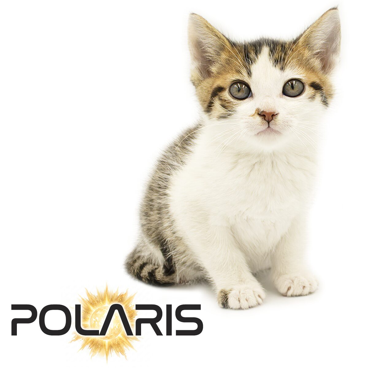 Polaris