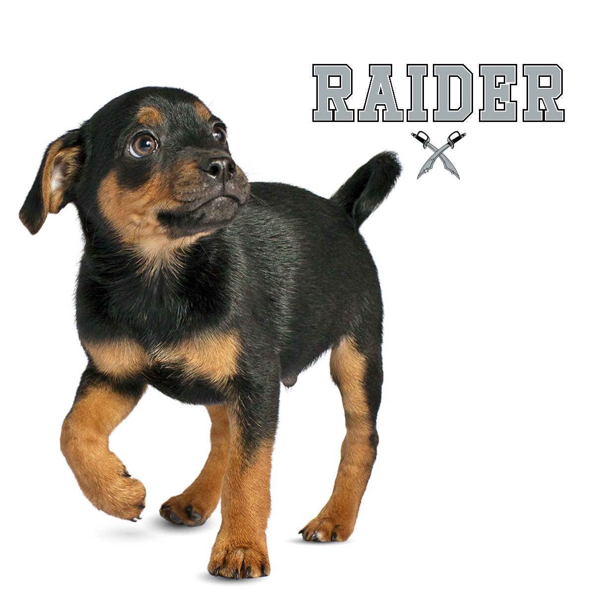 Raider