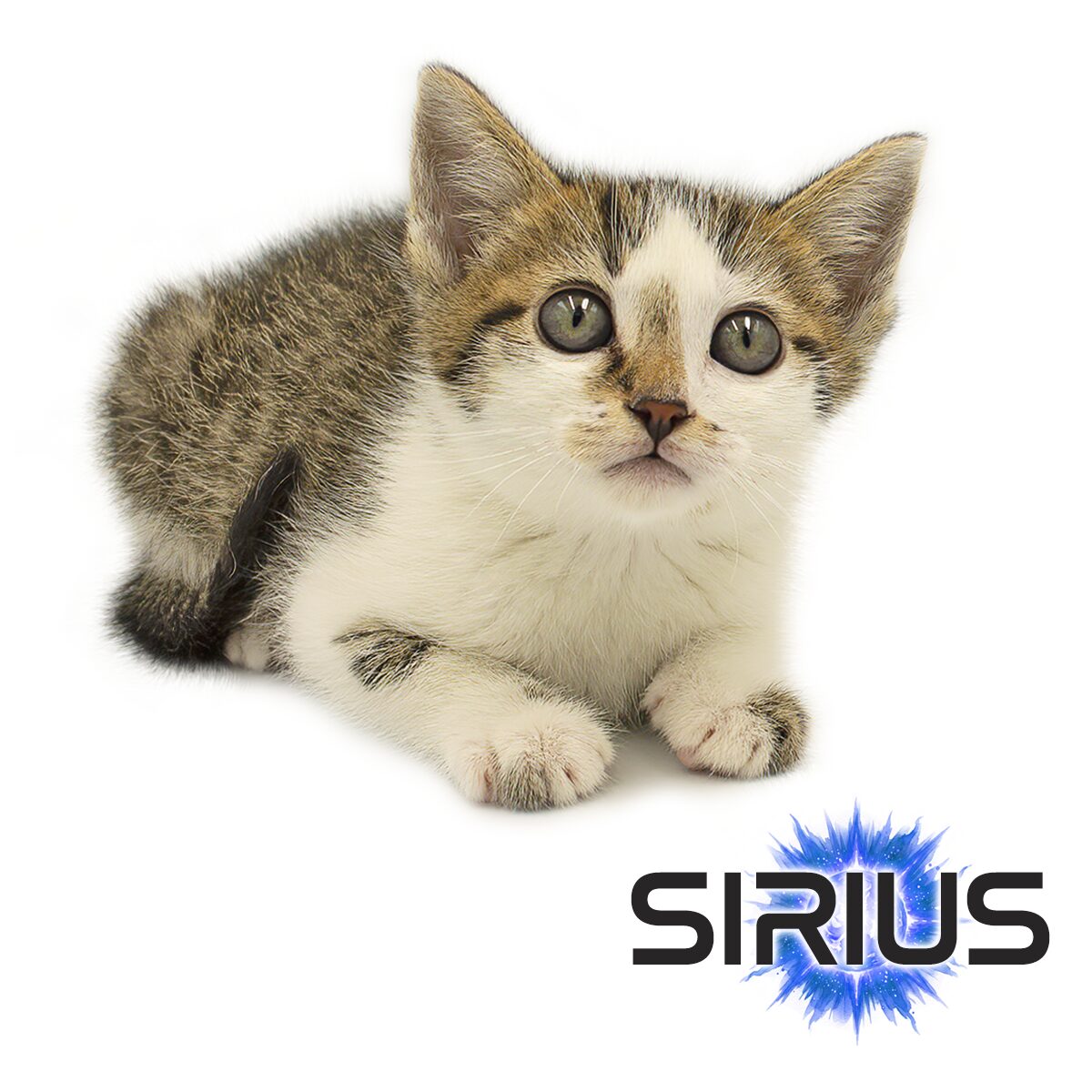 Sirius