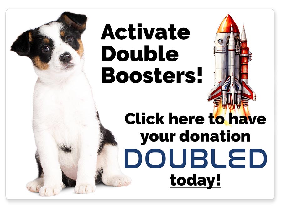 Donation is doubled today!