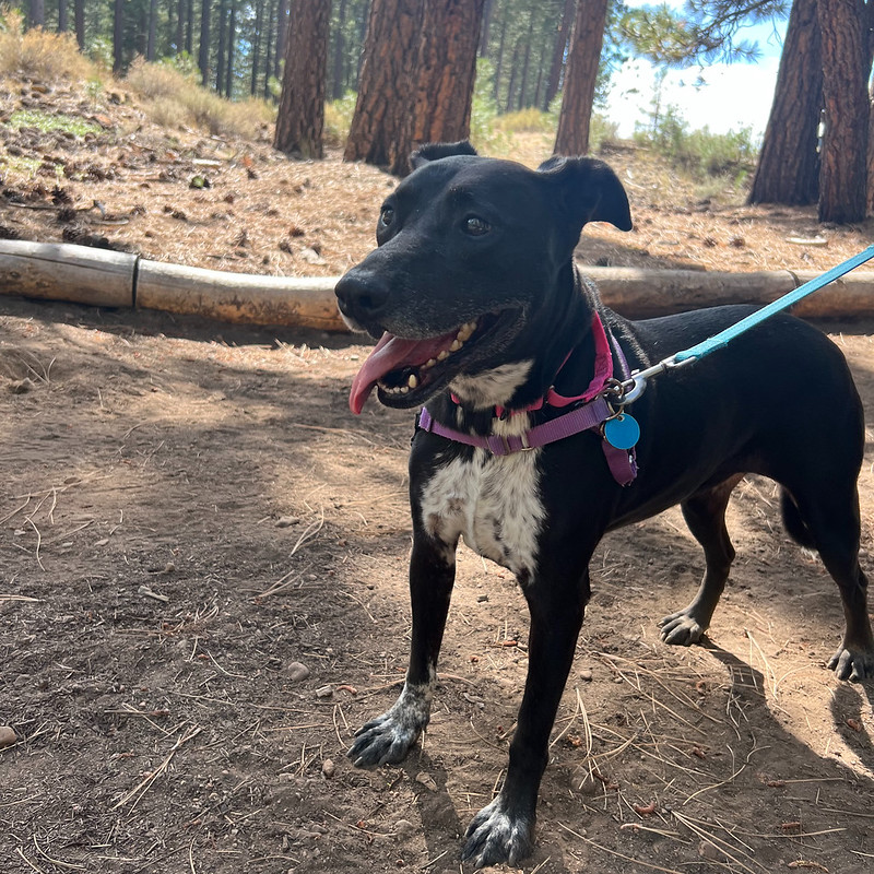 54737381847_9c88acdf9c_c