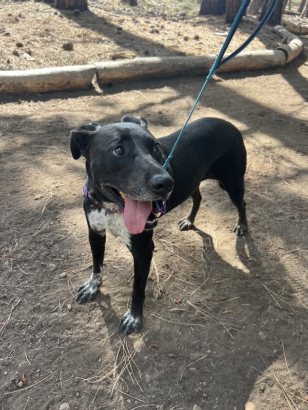 54738217766_9e3a9f250f_c (1) Celine