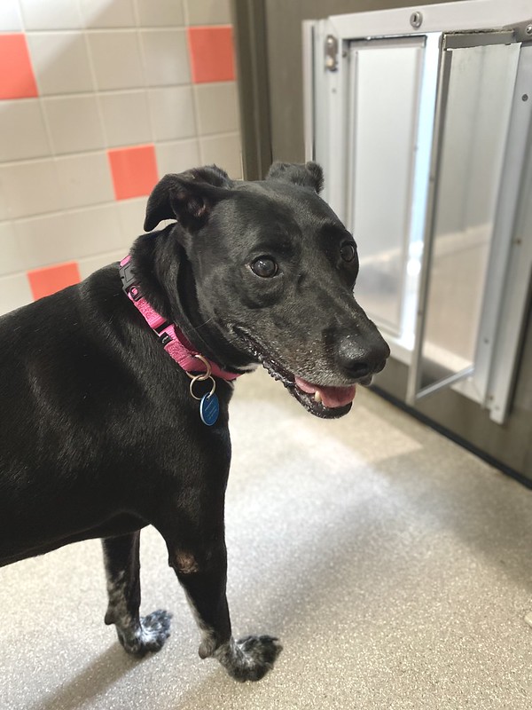 54740188436_cb77e7829e_c