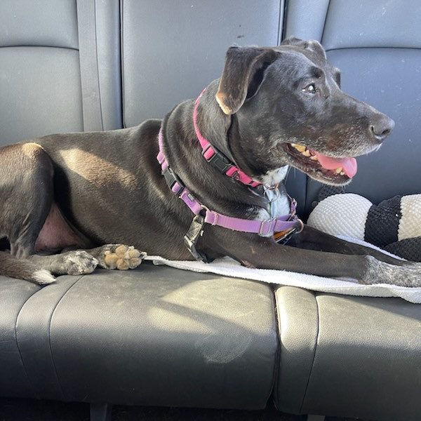 54777604532_53f517956a_z