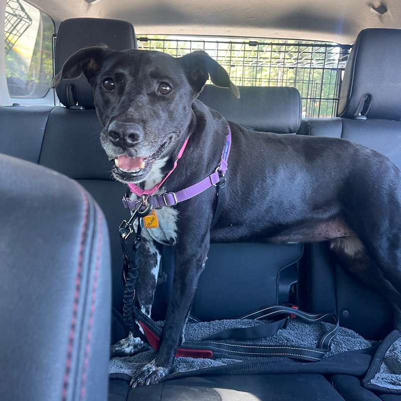 54778696053_277520f997_c