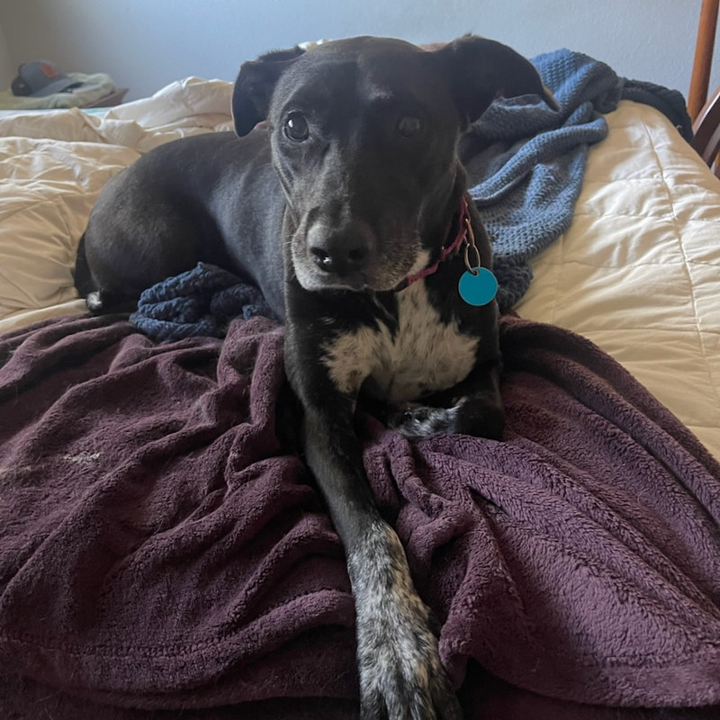 54797404722_76f844aaf6_c