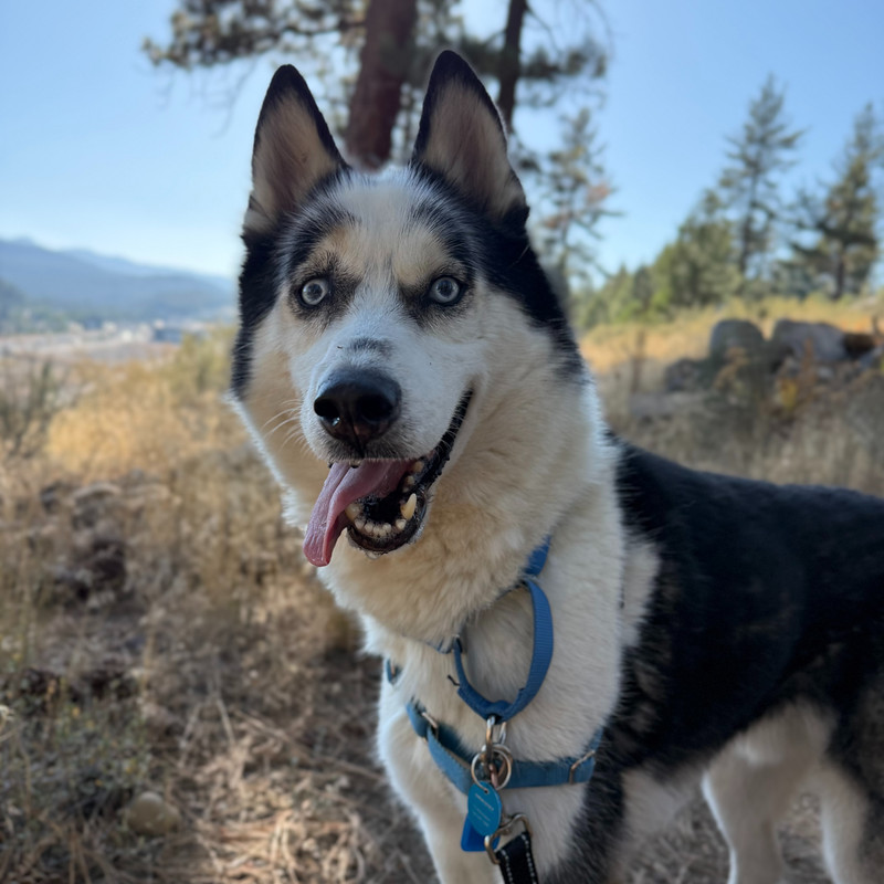 54791707286_57cf0e68fd_c