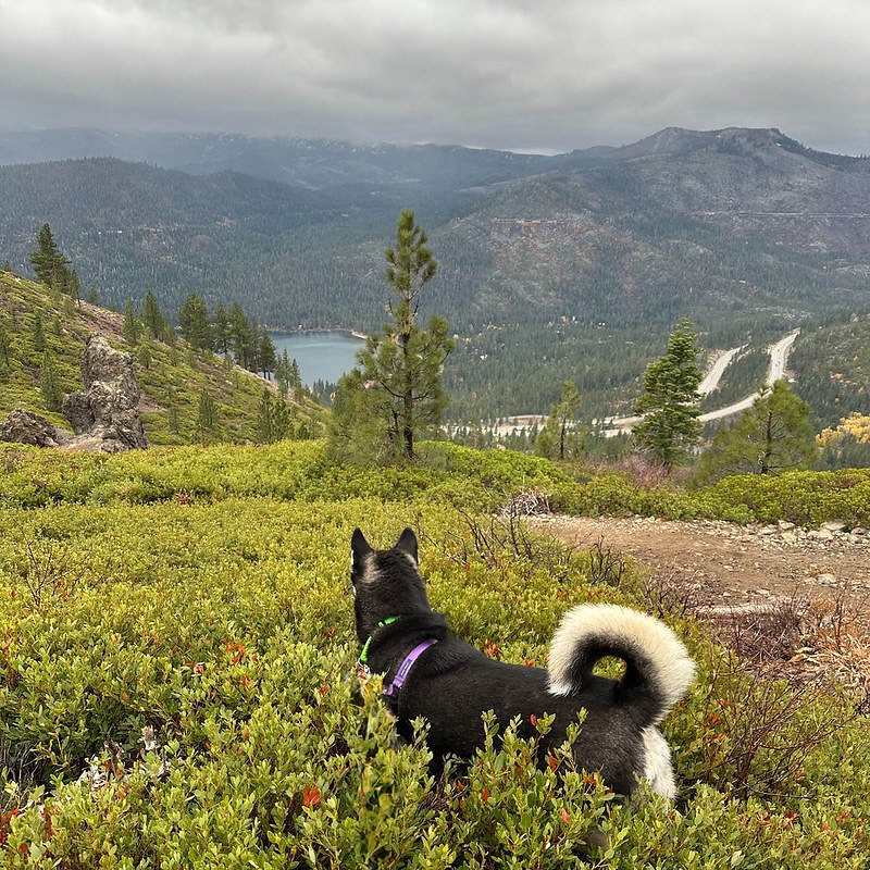 54900584726_444b6d3e17_c