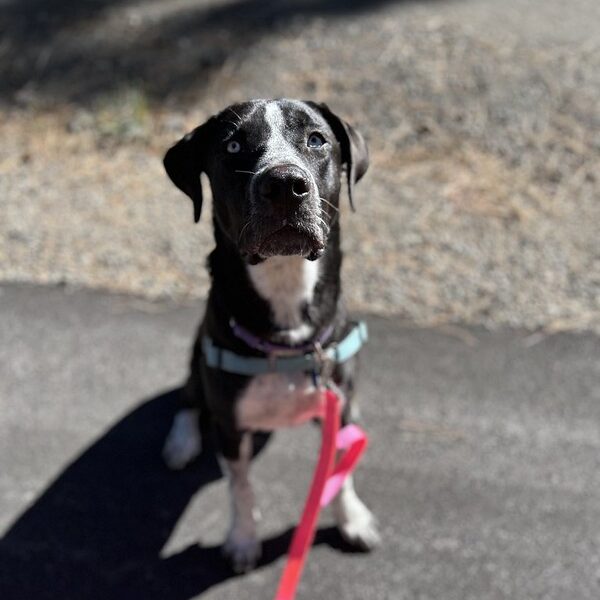 54853044881_4d88acc65f_c