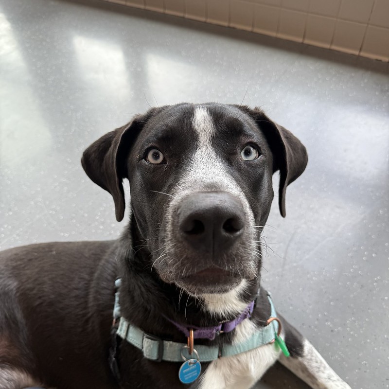 54853403115_ecf3f37493_c (1)