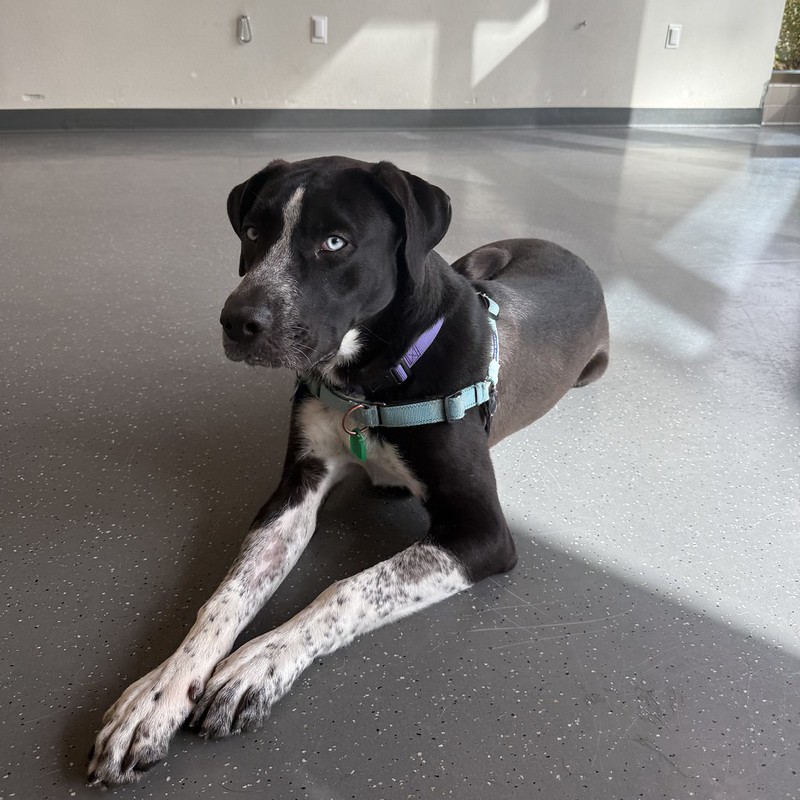 54853404350_6122865a8c_c