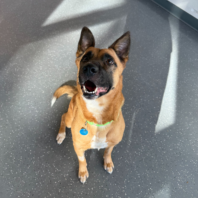 54894268687_c8ca1604a8_c