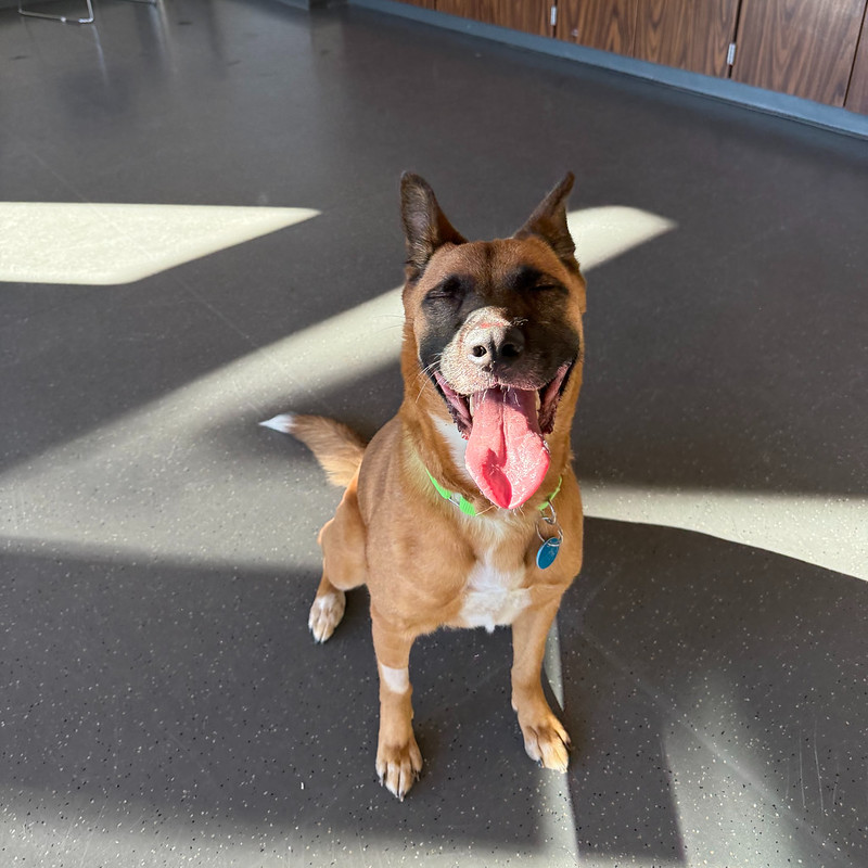 54894268697_2e342cb81d_c