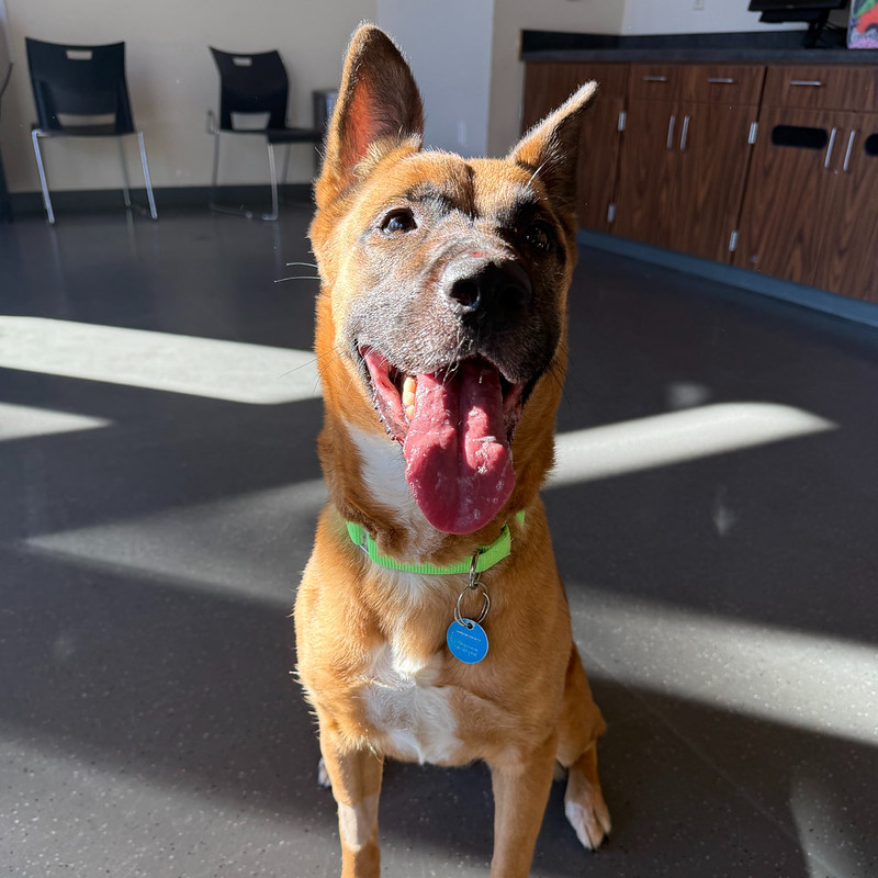 54894268702_7acebdbbde_c