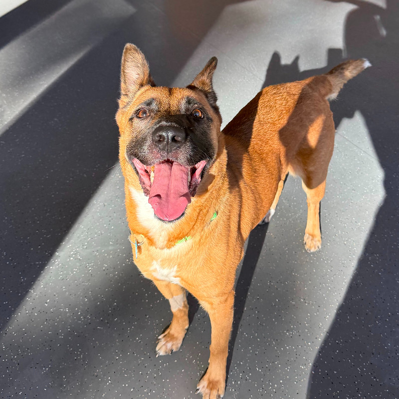 54894268707_2f6be032db_c Spring