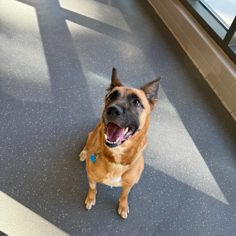 54895392304_9dffc97397_c