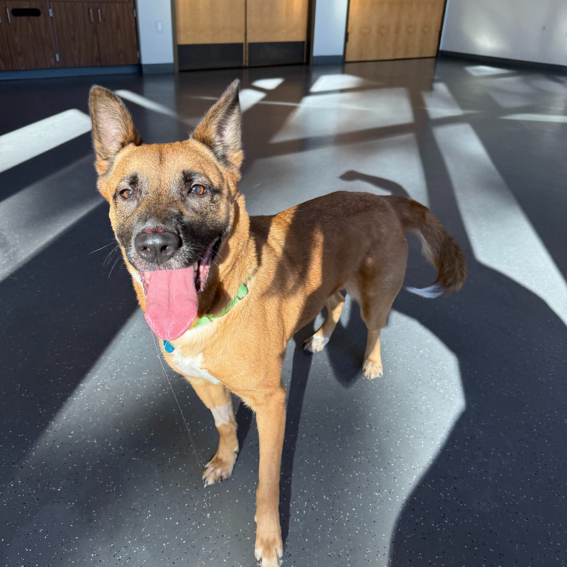 54895447845_ef5213508e_c