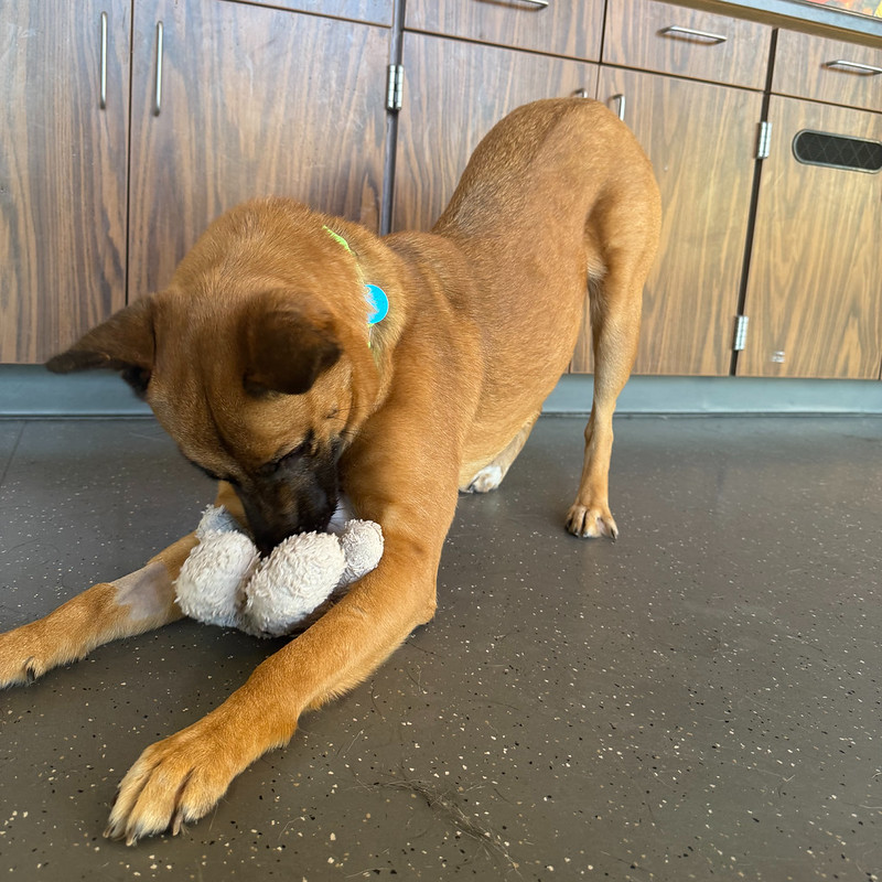 54895447850_452eeba512_c