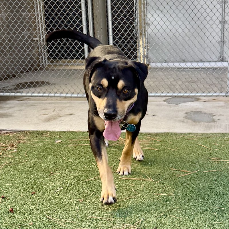 54899303342_7f42d446e2_c