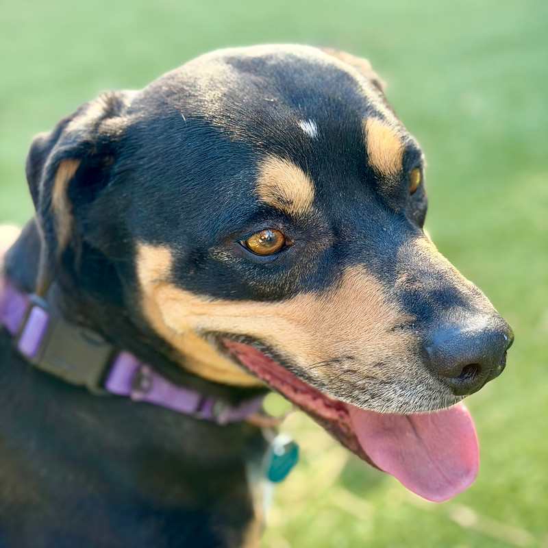 54899303437_f9f5f82463_c