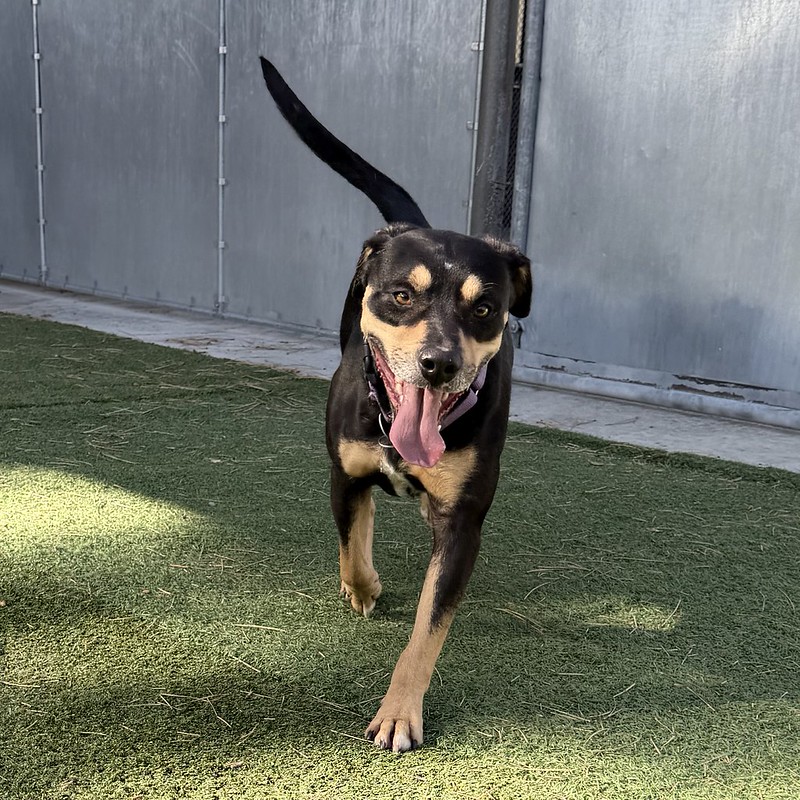 54900175811_b0f28c72a1_c