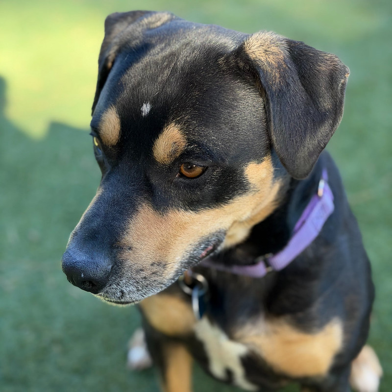 54900423244_4a1763c4fd_c