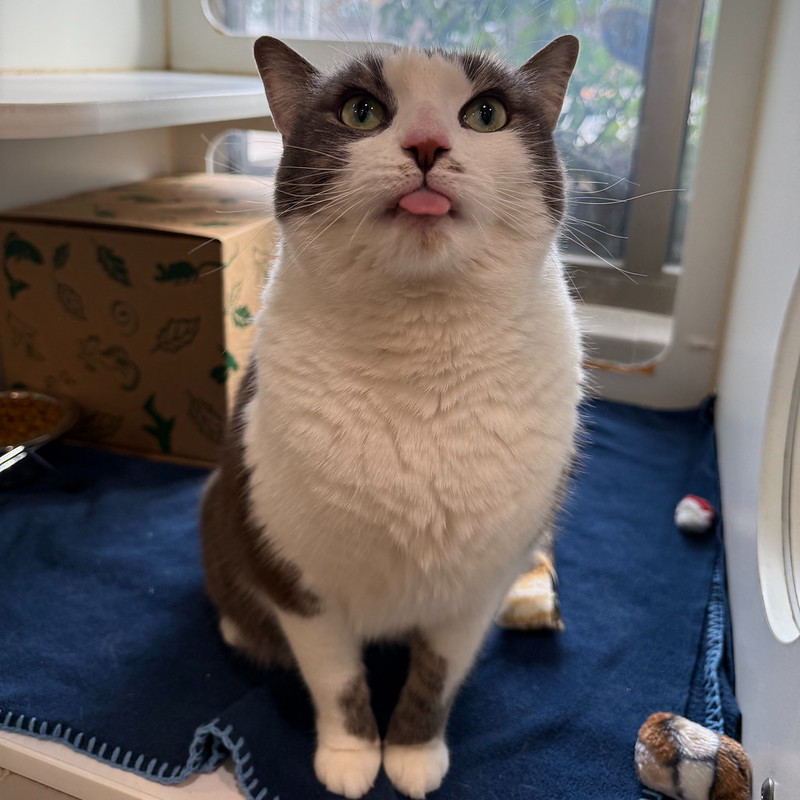 54903795532_641f267023_c Zephyr