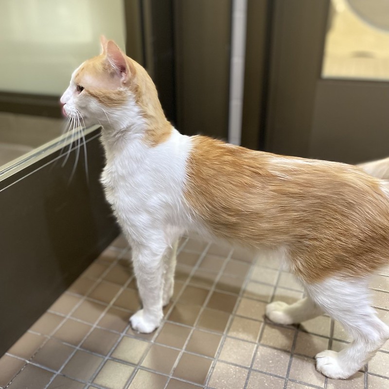 54904000212_d08342c8d9_c