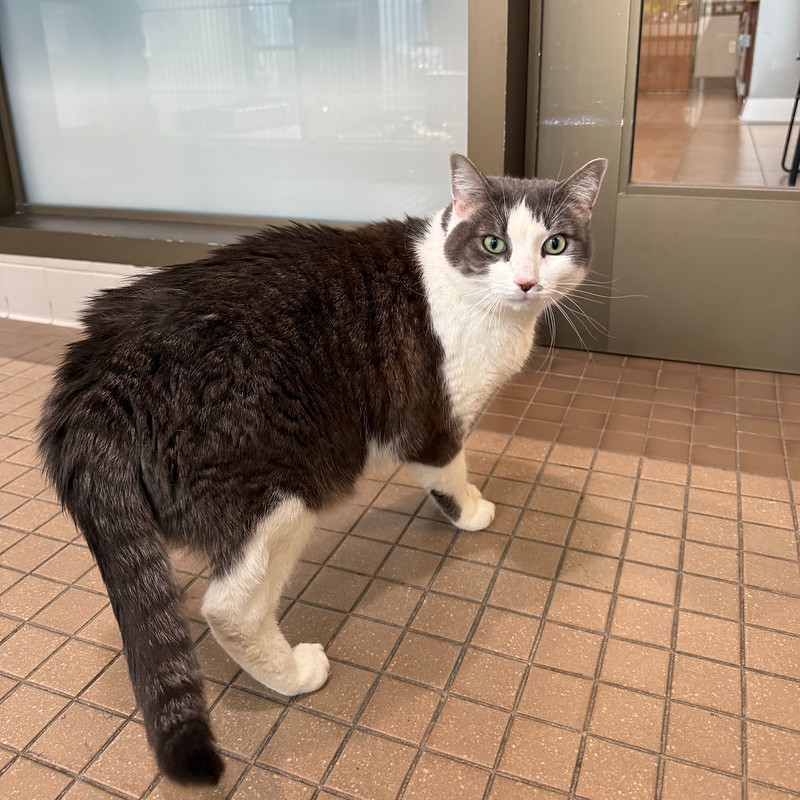 54904665891_878d7ba11d_c