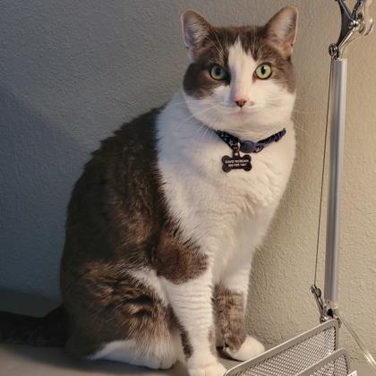 8d357bd0-43ef-4212-aa9f-3a6ba343b1b6