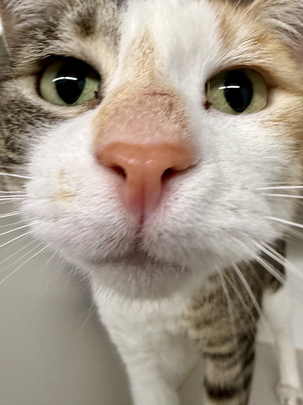 55114444979_c092ff3380_c