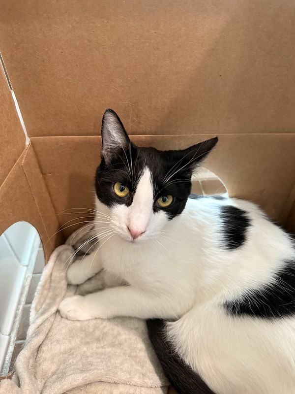 55117165142_fe52eb593f_c