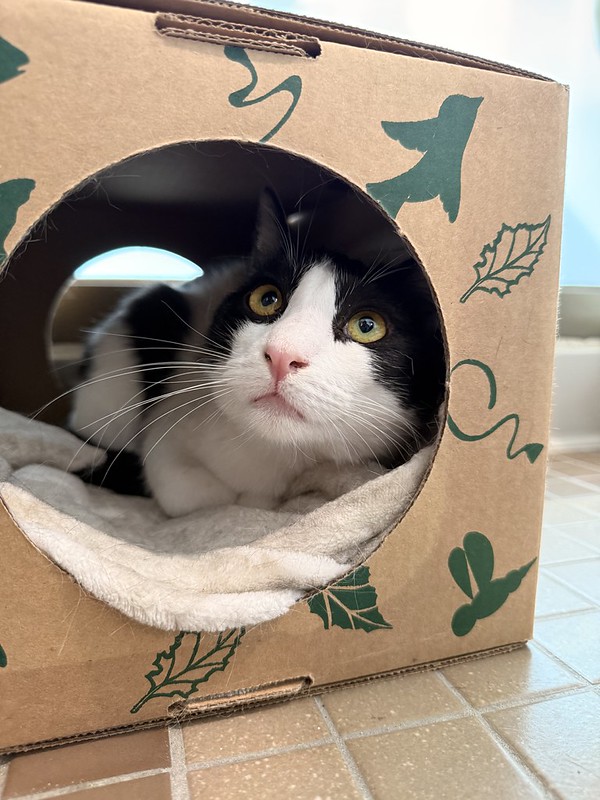 55118301204_d4c120771e_c