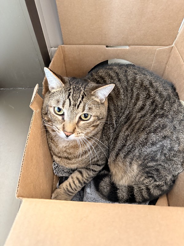 55118486467_c99c0abb94_c