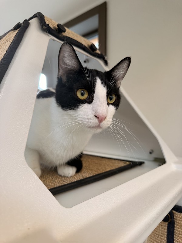 55121475261_028bc27386_c