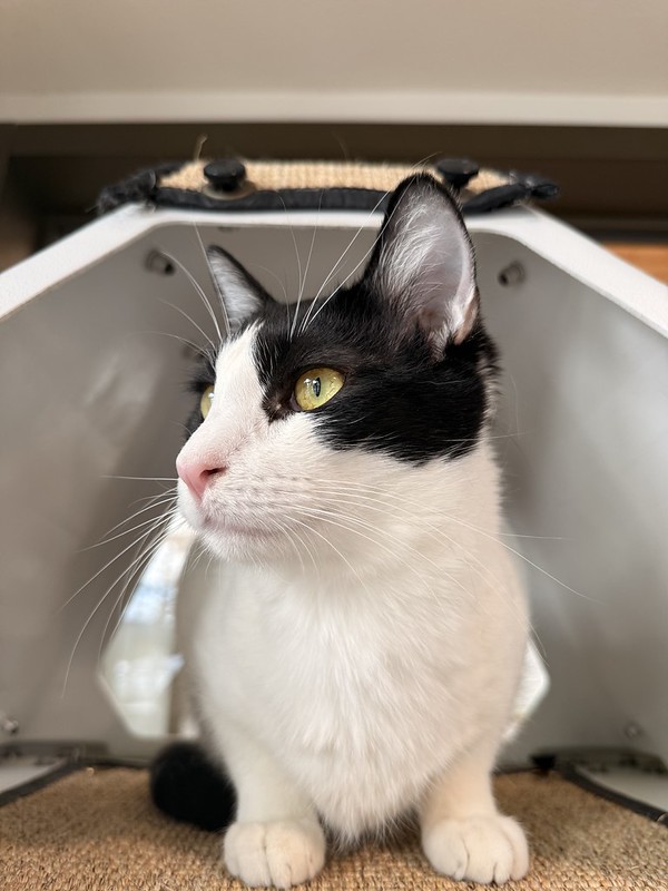 55121728099_eddbff8194_c Sergei