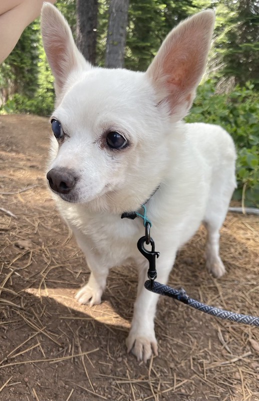 55380669021_008dc417d5_c Chloe