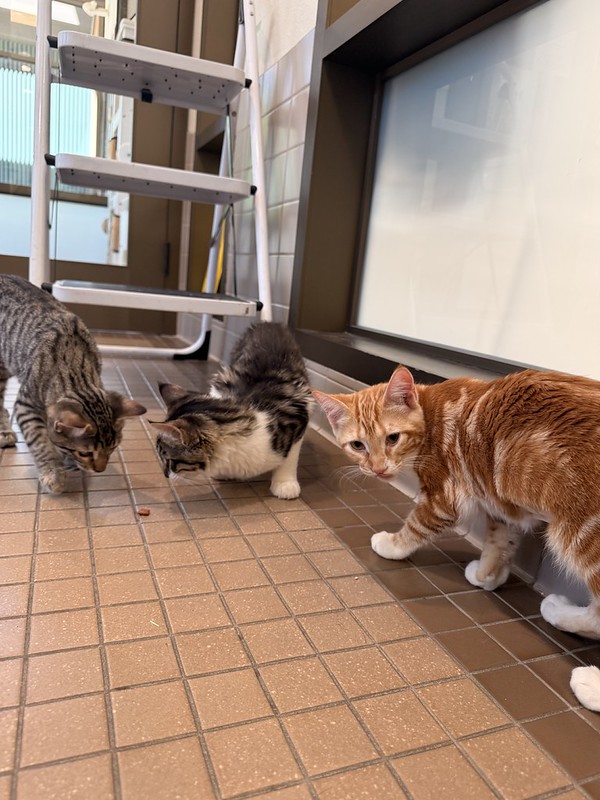 Leona, Monte, and Louie