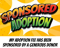 Sponsored Adoption