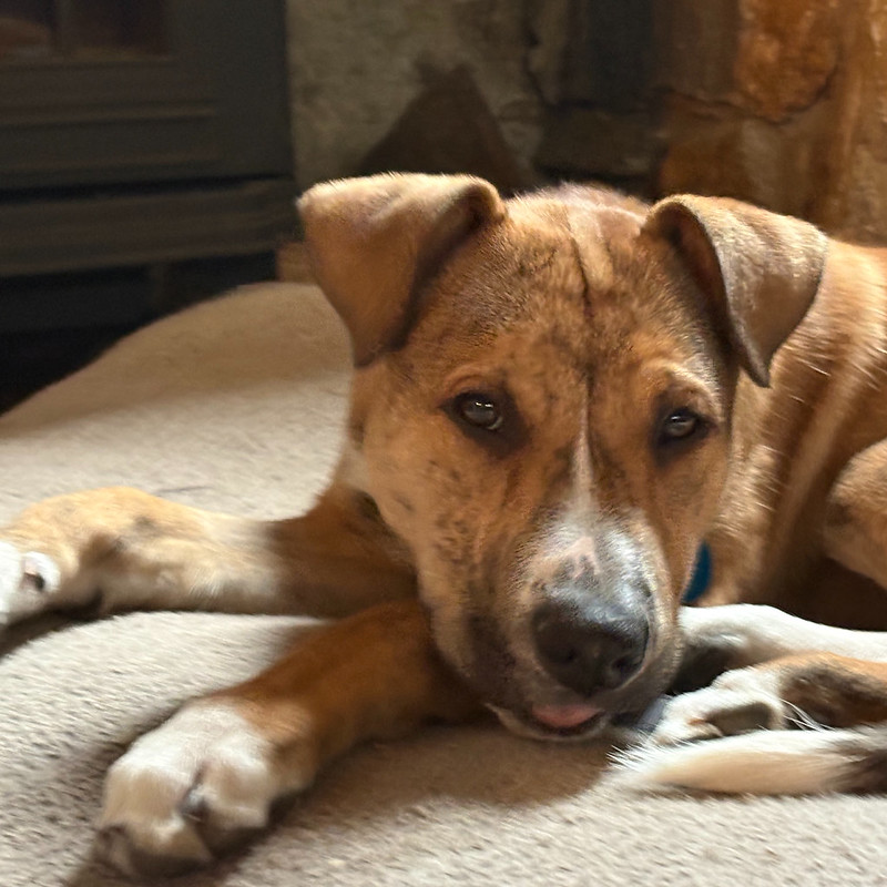 55557264279_07bcdeaf34_c